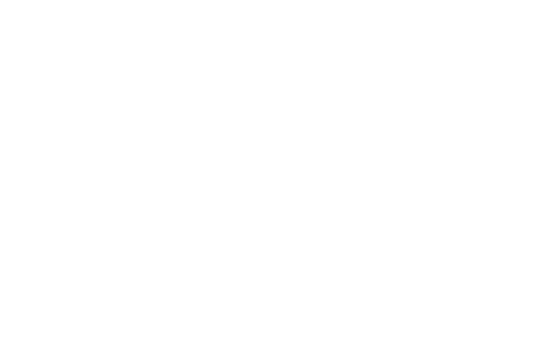 Official Selection · Capital City 2020 — Streamers