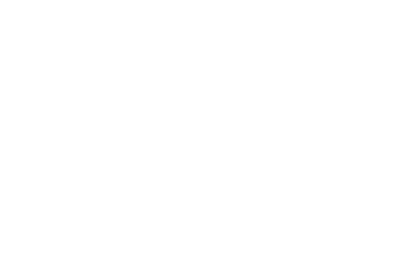 Official Selection · Central Michigan Intl 2024 — Lone Wolf